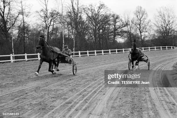 gettyimages-163148149-612x612.jpg