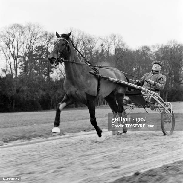 gettyimages-163148147-612x612.jpg