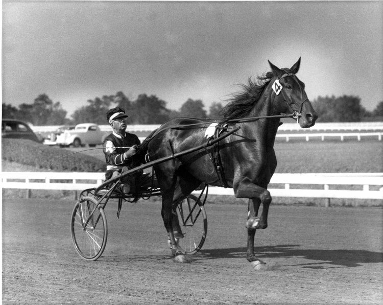36Rosalind12.jpg