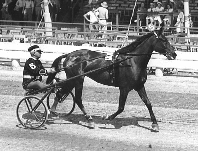 36Rosalind.jpg
