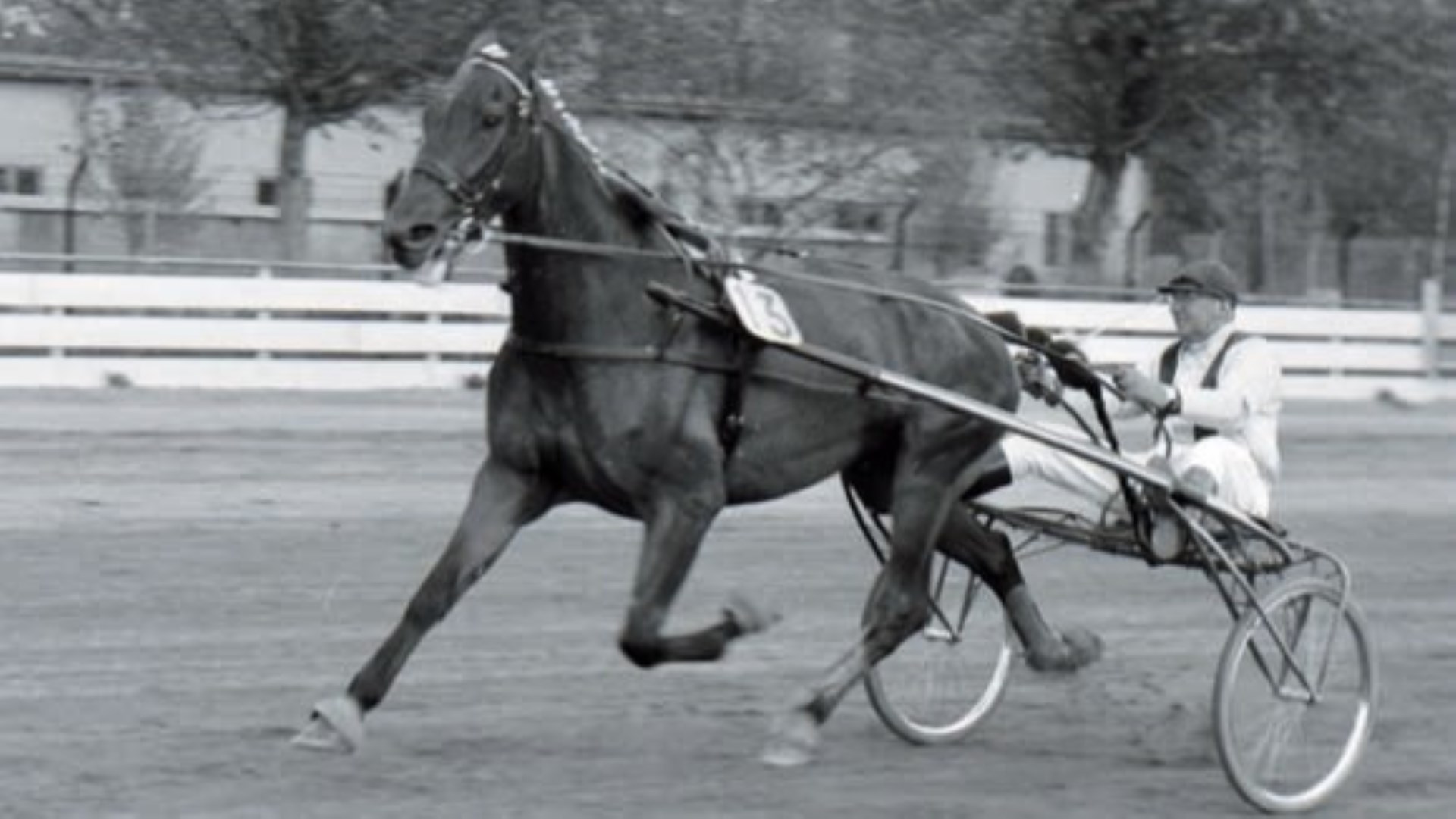 gelinotte-2-16-9-66fea9fec765b612700612.jpg