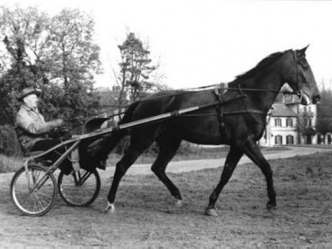 gelinotte-jpg-480x360.jpg