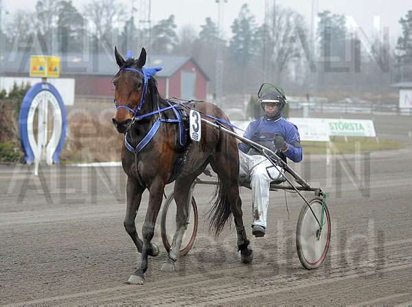 Merlene Boko def.t67bae96e.m600.w.4salnwmark2.png.xB8SGrPF5.jpg