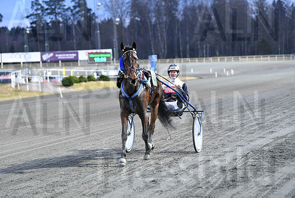 S.G.Edison segerdef 784.t67cc6bc0.m600.w.4salnwmark2.png.xPPm9_CiY.jpg