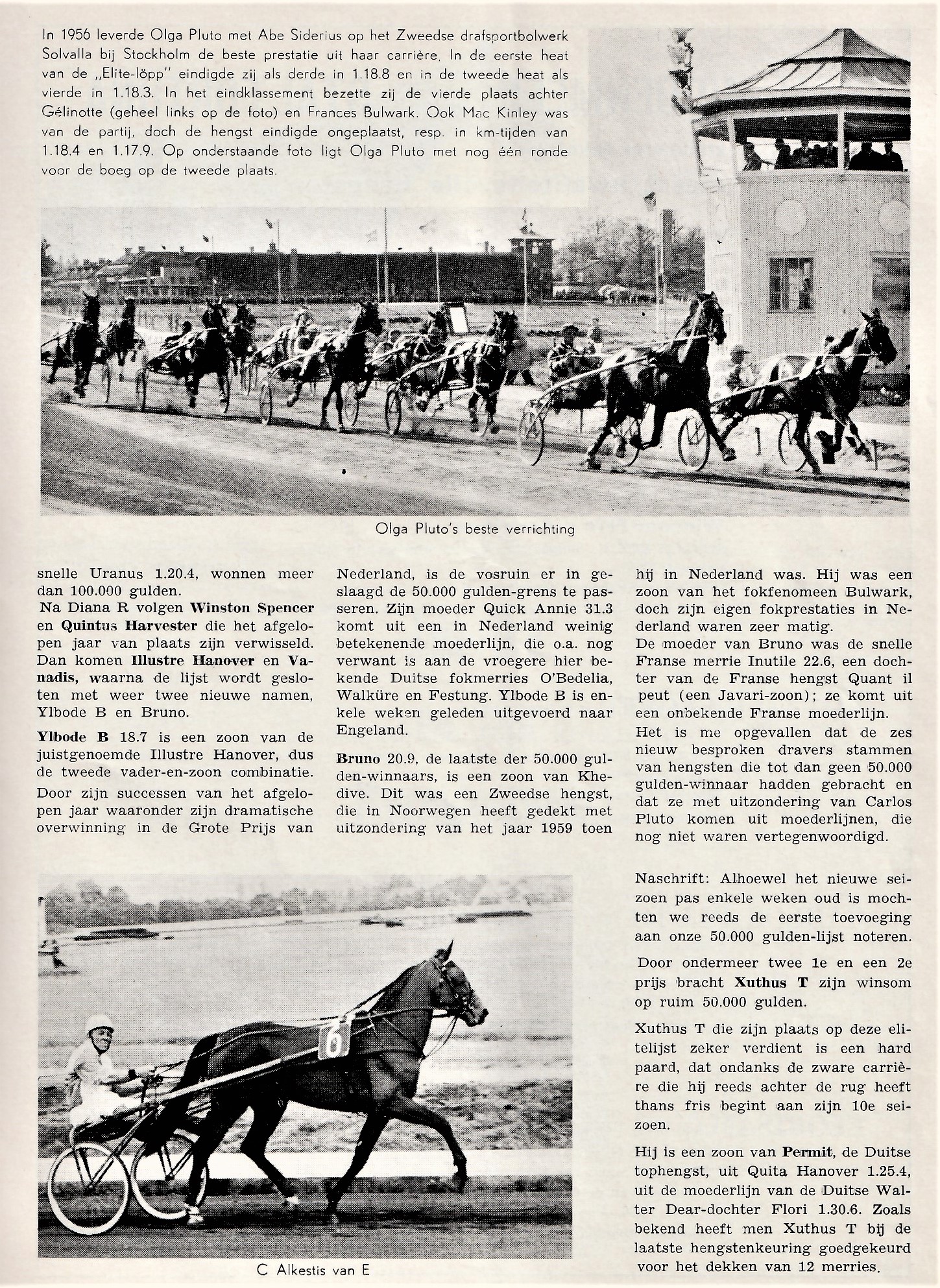 1966 de succes volste dravers 3.jpg