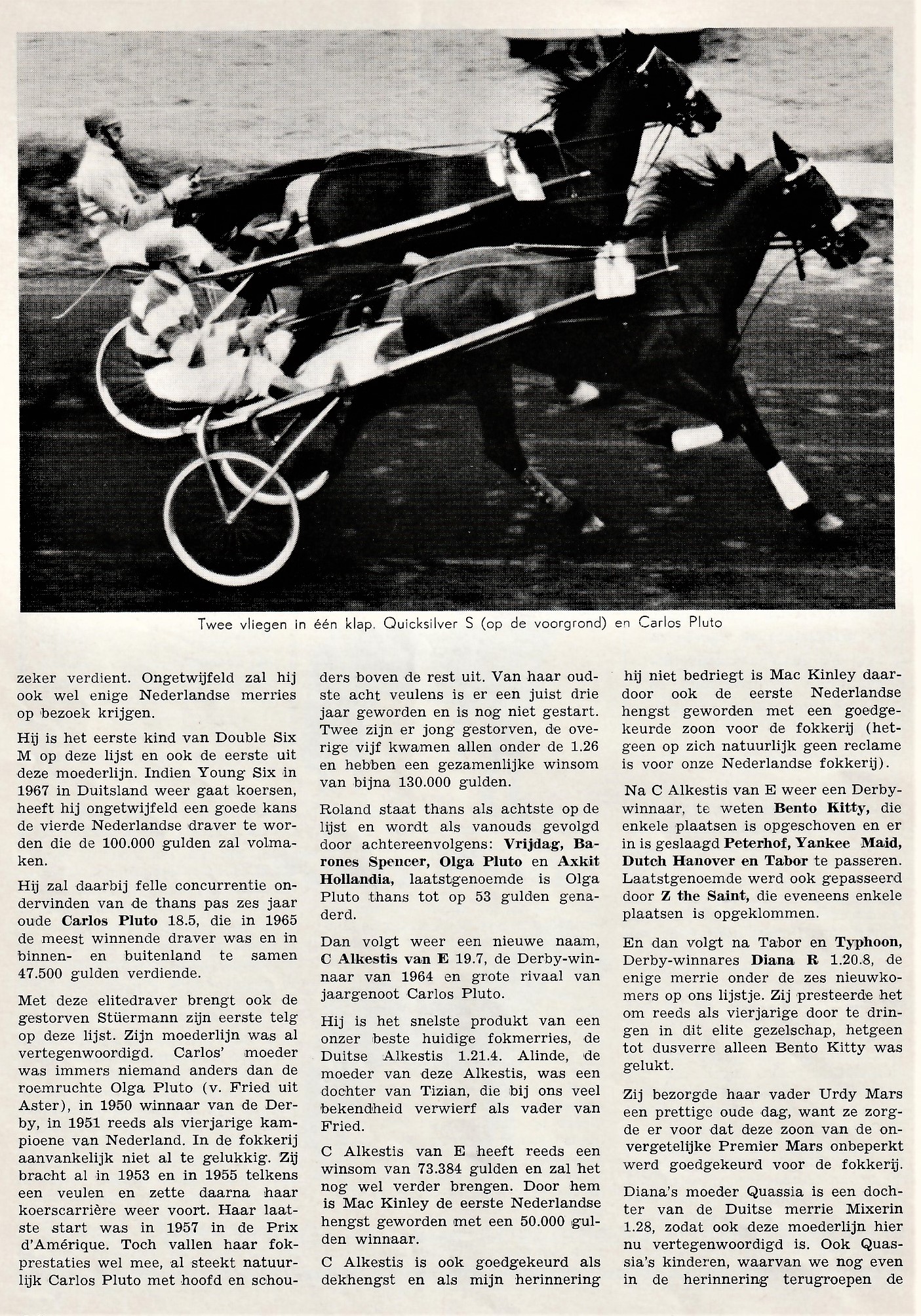 1966 de succes volste dravers 2.jpg