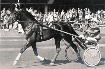 Prizefighter_Gron_1980_671614527.jpg