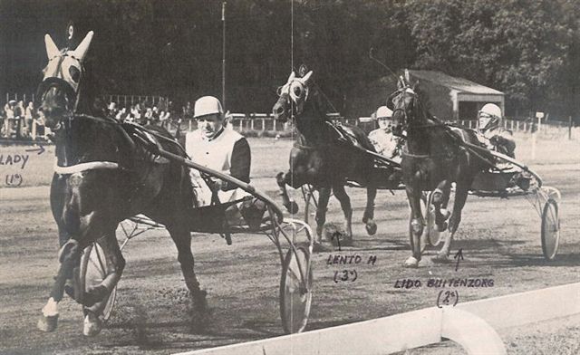 Lady Derby-proef (1).jpg