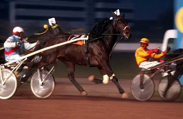 Henry Videau 2e Stayers 1995.jpg