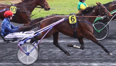 1279241_PHW_flamme_du_goutier.jpg