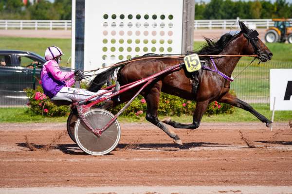 MD_00176003-031-scoopdyga_DIABLE_DE_VAUVERT.jpg