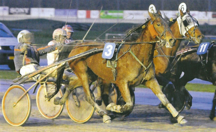 Best Well Gouden Paard 14.jpg