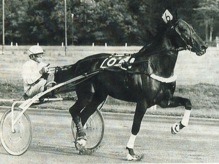 Alexander S 04.jpg