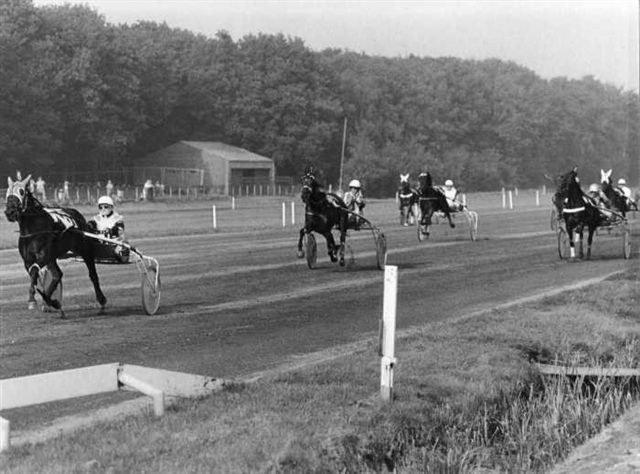White Shadow wint Jofferprijs.jpg