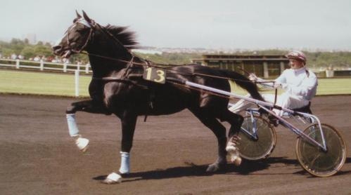 Idéal-du-gazeau.jpg