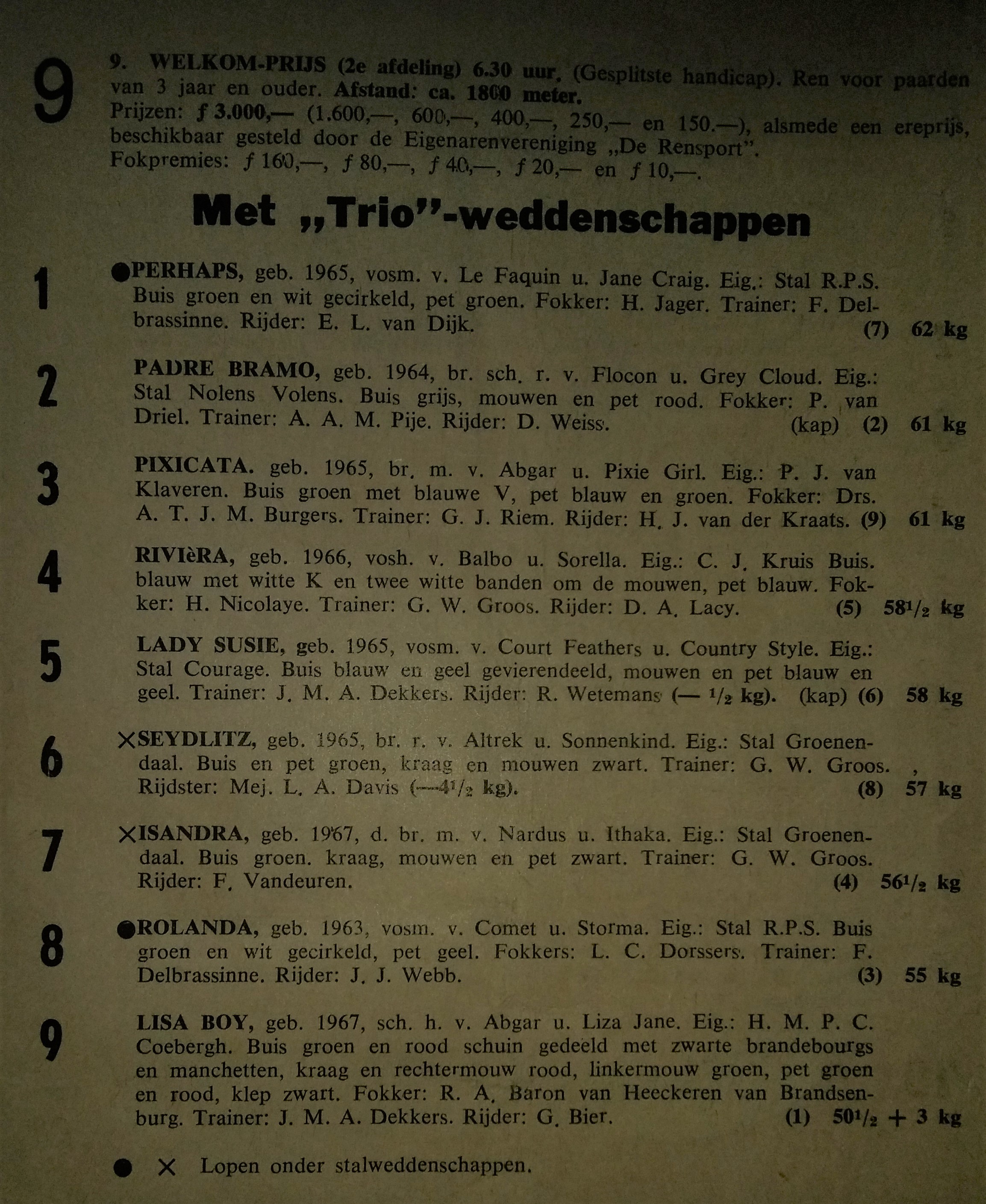 Duindigt 11.jpg