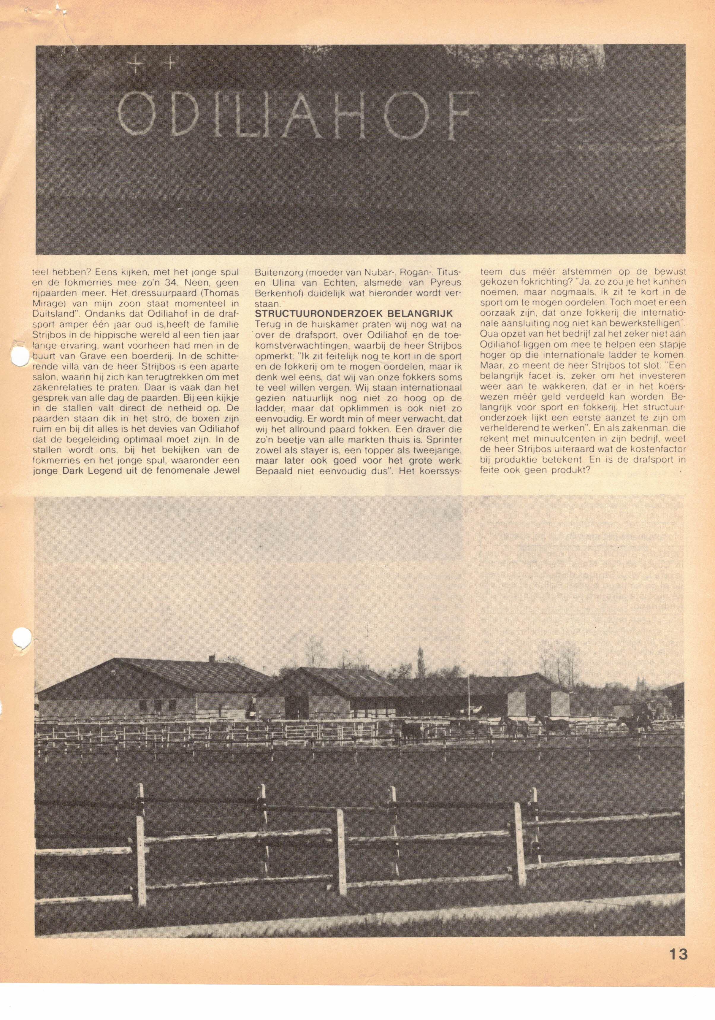 CCF_000257.jpg