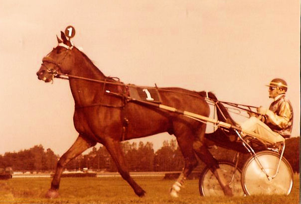 Peter Harvester 01.jpg