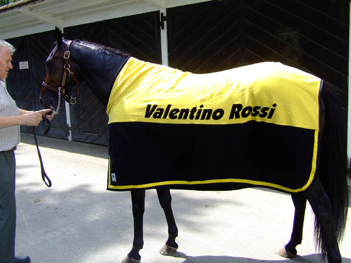 Valentino Rossi.jpg