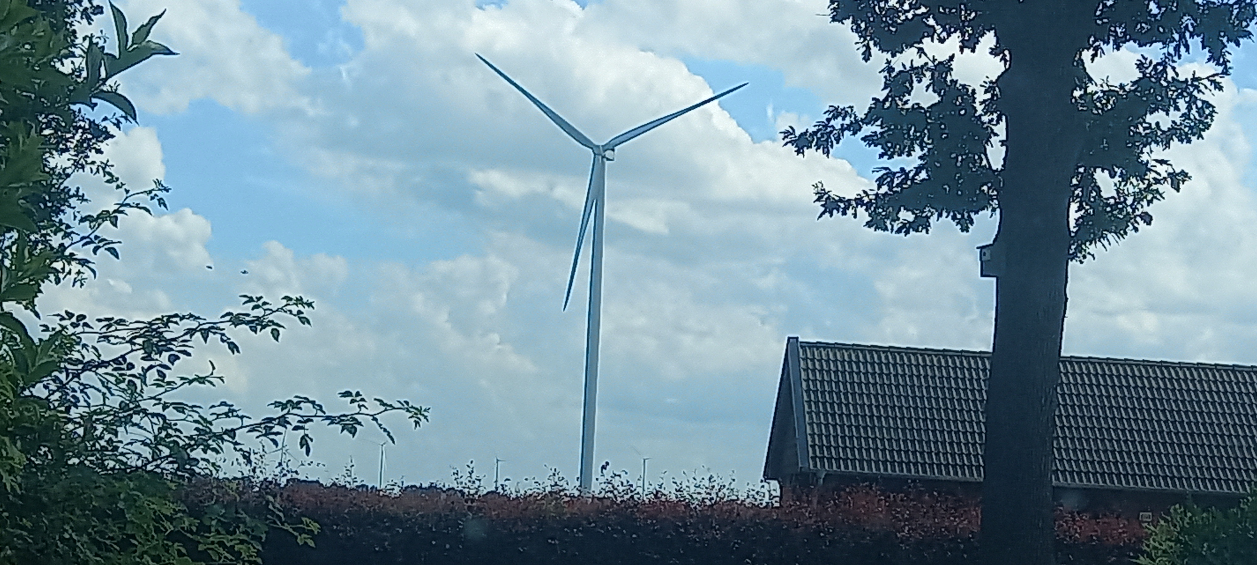 20260629_154446.jpg