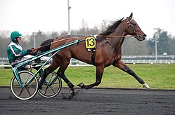 250px-Örjan_Kihlström_&_Maharajah_2011-02-20_001.jpg