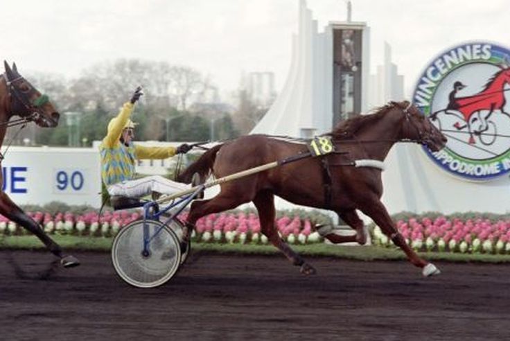 5ede60b8cd716_ourasi_prix_damerique.jpg