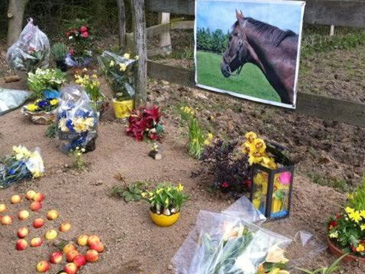 5ede65d8560f7_hommage_a_ourasi.jpg
