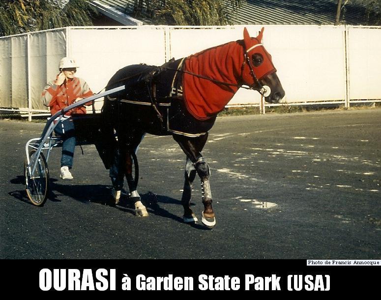 Ourasi March in Garden State Park.jpg