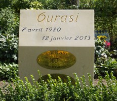 ourasi_2_.jpg