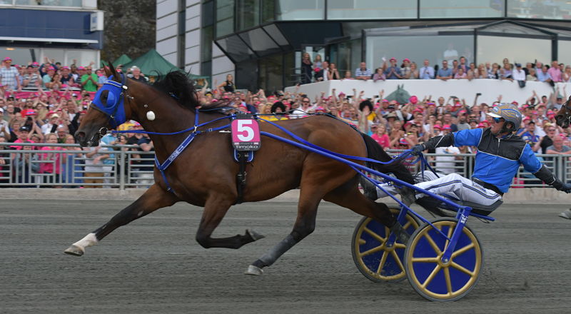 JLL_timokosolvalla_Elitloppet.jpg