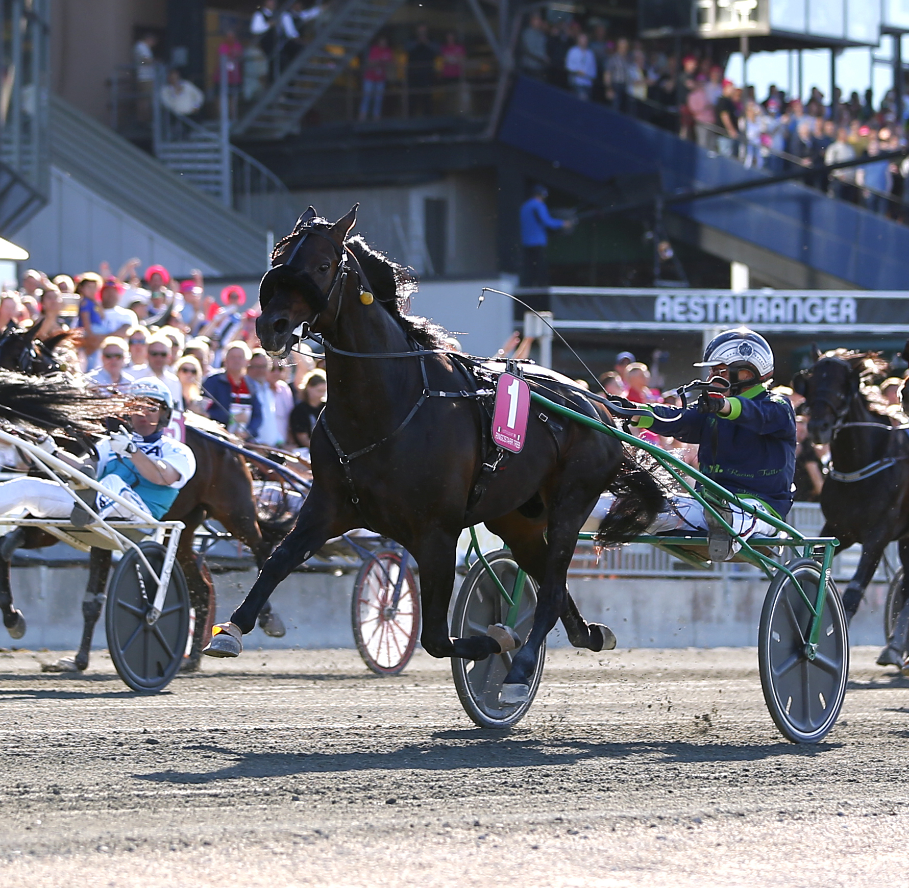 Ringostarr_Treb_vinner_Elitloppet_2018.jpg