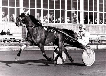 Gerrit de Jong met Star of Goldstar.jpg