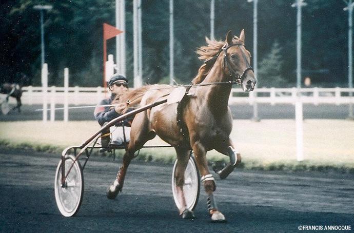 tenor-de-baune_vincennes.jpg