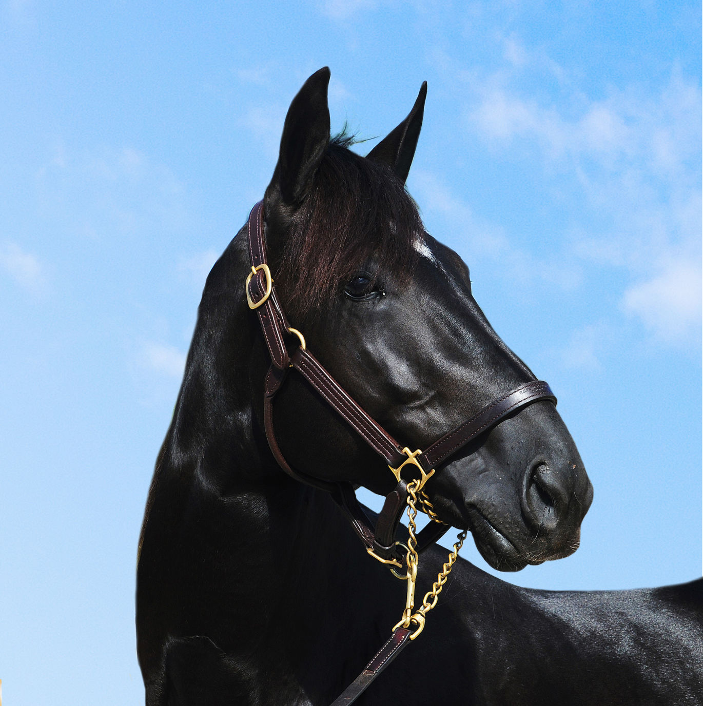 Nuncio_profile.jpg