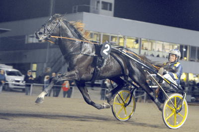 Nuncio-SM-171005-finish-002.png