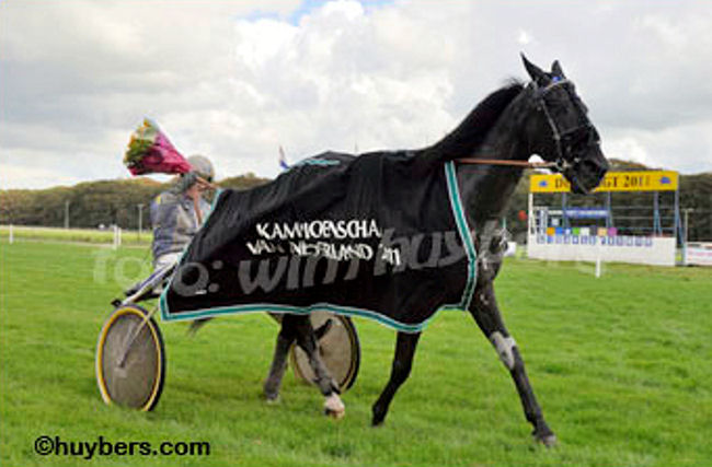 Venividivici Joe KvN 11 ere.jpg