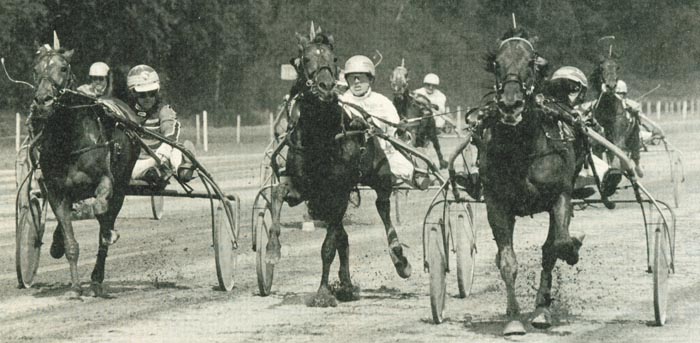 Guvo KNP 96 Herbie Eibert.jpg