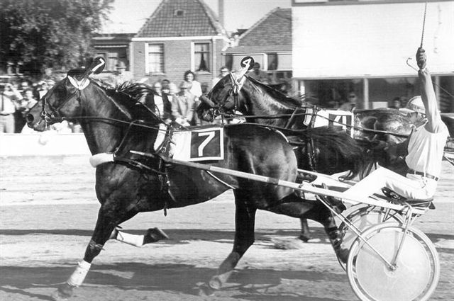 Robin Buitenzorg G Hoef 80.jpg