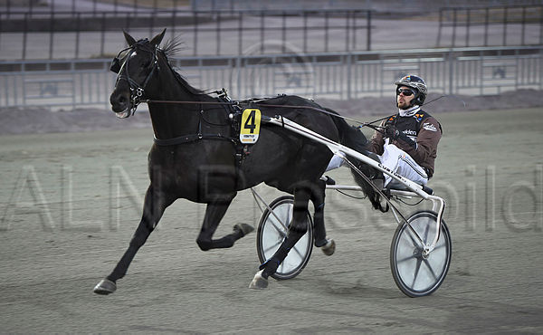 Illfindmywayhome heat (2).t5e7d28c7.m600.w.4salnwatermark3.tif.xYdfAbdza.jpg