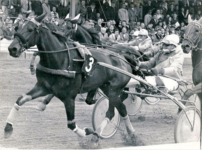 Lissy Alkmaars Gr Pinkster-prijs 77.jpg