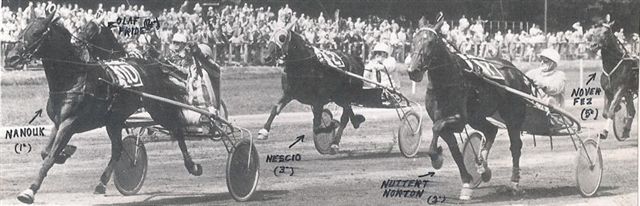 Nanouk Grote Fokkersprijs 78.jpg