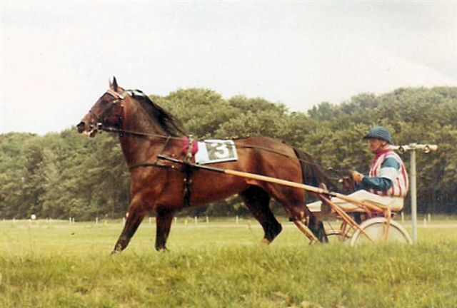 Nanouk naar het defile.jpg