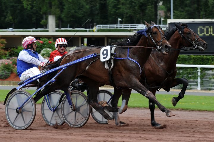 Amour dOccagnes Enghien a.jpg