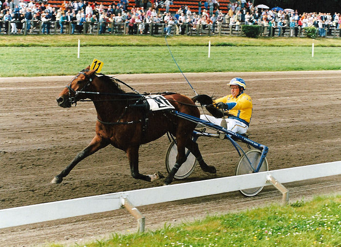 Eibert Vryenesse 9-6-96.jpg