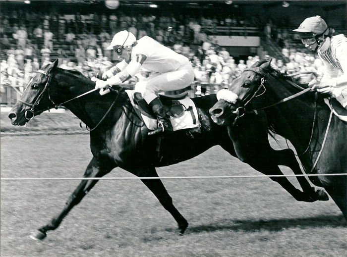 Anthonys Dream W Pauw 86.jpg