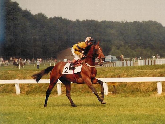 Boxberger Speed 01.jpg