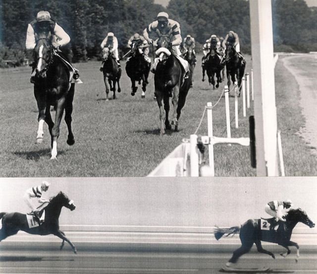 Corrals Bond Derby 79.jpg