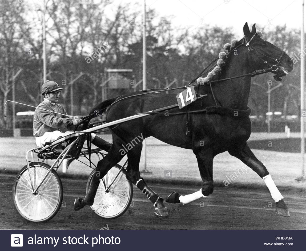 trotting-race-tidalium-pelo-18-april-1972-WHB9MA.jpg