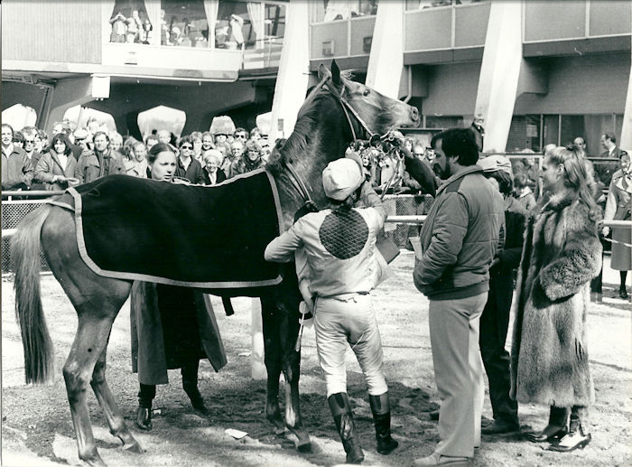 Harveysfield 12-4-1982.jpg
