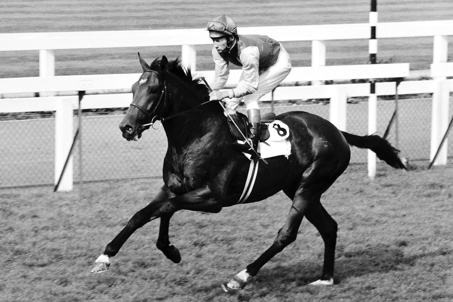 nijinsky (1).jpg